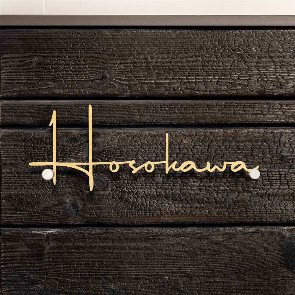ステンレス 表札 アイアン 切り文字 オーダーメイド gs-nmpl-1023
