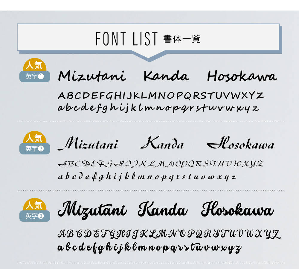 ステンレス 表札 アイアン 切り文字 オーダーメイド gs-nmpl-1023