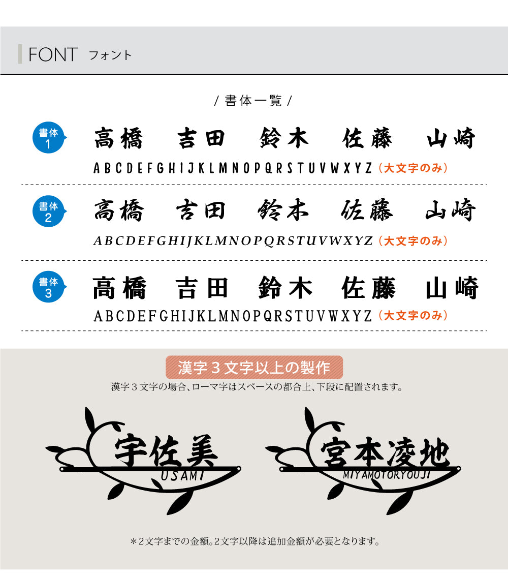 表札 アイアン 表札 ステンレス 漢字と英字アルファベットの2つを併記 国内生産 玄関 gs-nmpl-1051