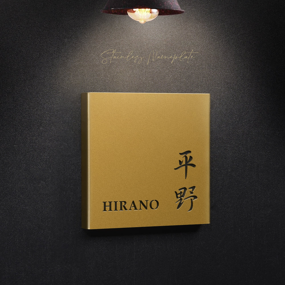 ステンレス 表札 シンプル 戸建 2世帯 切り文字 漢字 ローマ字 アルファベット 漢字 日本製 gs-nmpl-1060