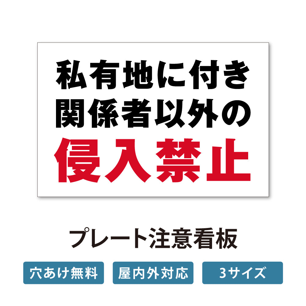【立入禁止】立入禁止 防犯カメラ 看板 案内板 標識 注意看板 サイズ選べる 長方形 横看板 オーダー 屋外 オリジナル看板 屋外対応 プレート看板 店舗看板 ks-21